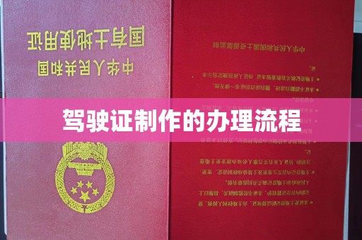 遂平驾驶证制作的办理流程