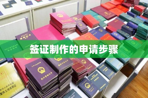 遂平签证制作的申请步骤