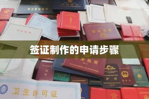 遂平签证制作的申请步骤