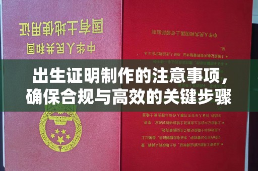 遂平出生证明制作的注意事项，确保合规与高效的关键步骤