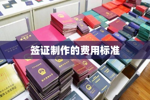 遂平签证制作的费用标准