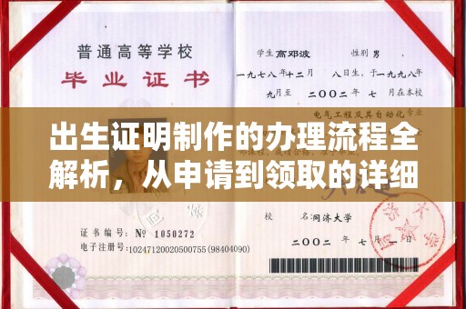 遂平出生证明制作的办理流程全解析，从申请到领取的详细指南