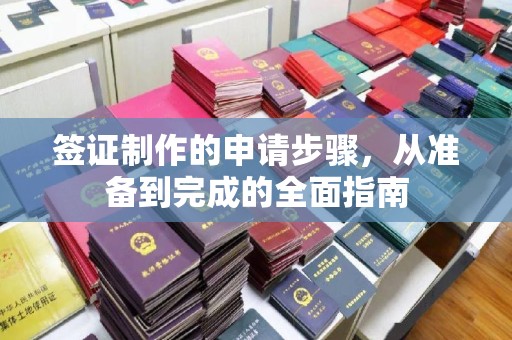 遂平签证制作的申请步骤，从准备到完成的全面指南