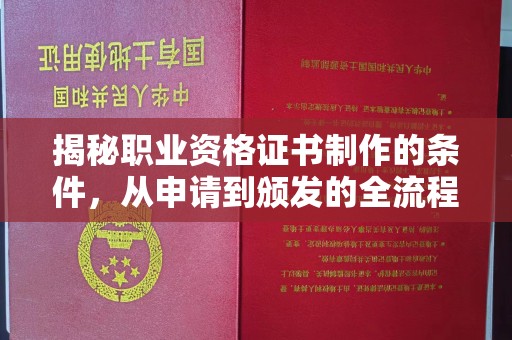 遂平揭秘职业资格证书制作的条件，从申请到颁发的全流程解析