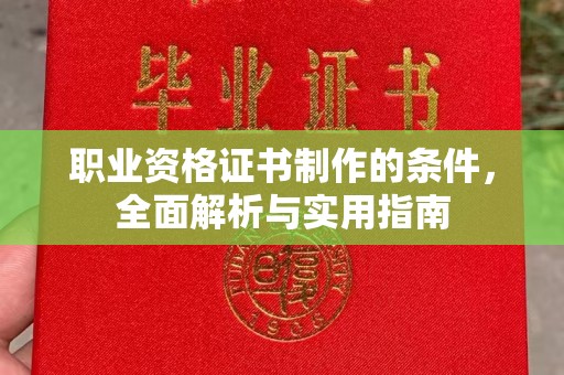遂平职业资格证书制作的条件，全面解析与实用指南
