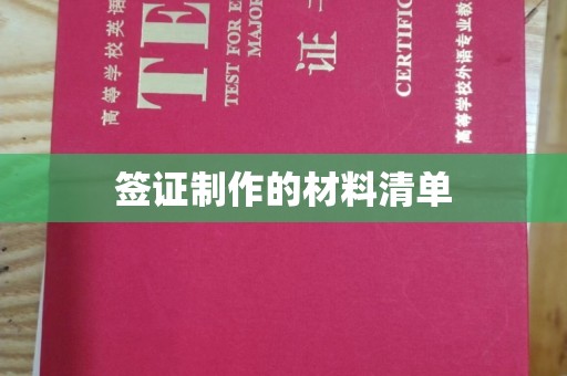 遂平签证制作的材料清单