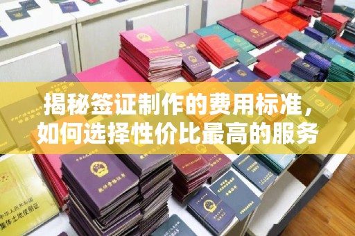 遂平揭秘签证制作的费用标准，如何选择性价比最高的服务？