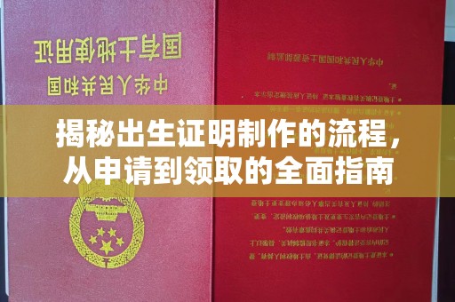 遂平揭秘出生证明制作的流程，从申请到领取的全面指南
