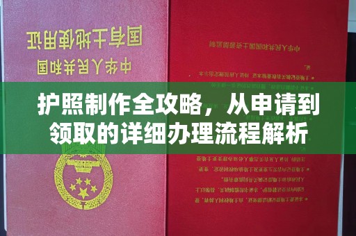遂平护照制作全攻略，从申请到领取的详细办理流程解析