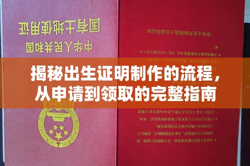 遂平揭秘出生证明制作的流程，从申请到领取的完整指南