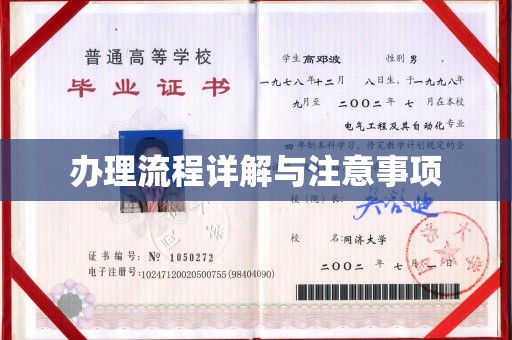 遂平办理流程详解与注意事项